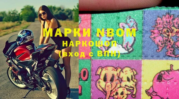 гашик Сясьстрой