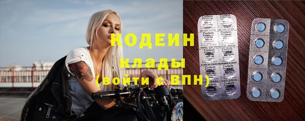 гашик Сясьстрой