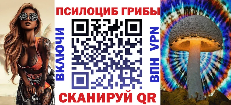 Купить закладки  Волгореченск  Псилоцибиновые грибы Magic Shrooms 